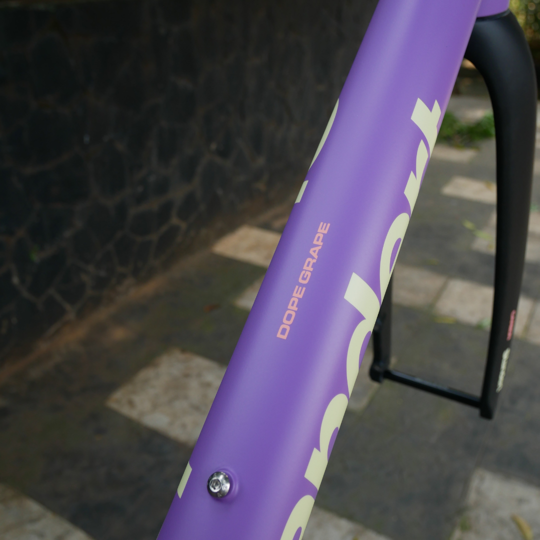 Standert - Kreissage Road Frameset Kit - Dope Grape