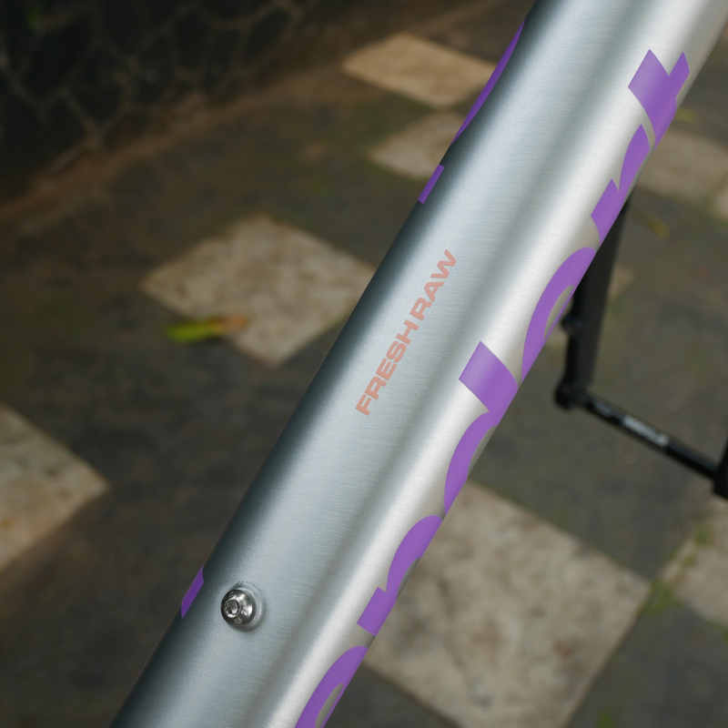 Standert - Kreissage Road Frameset Kit - Fresh Raw