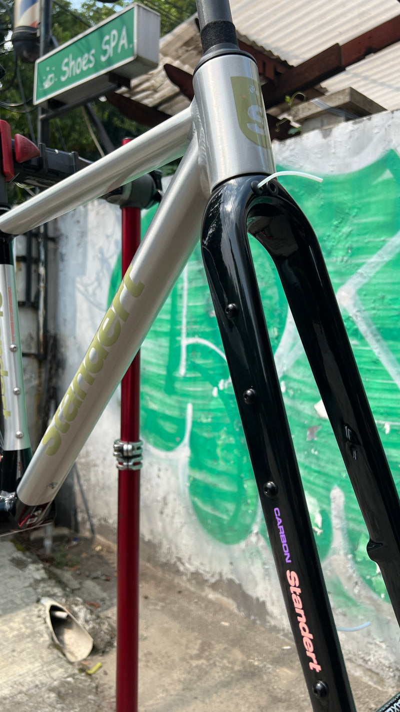 Standert - Kieswerk Gravel Frameset Kit - Shimmy Raw